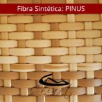 Pinus
